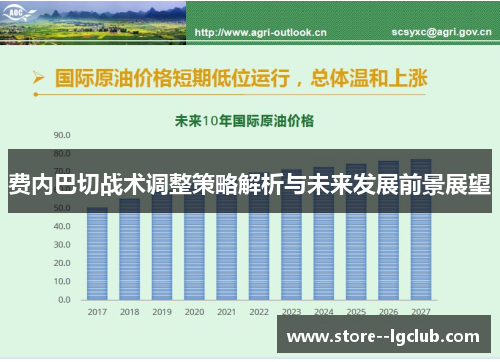 费内巴切战术调整策略解析与未来发展前景展望